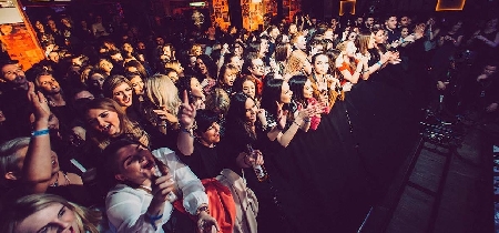 A crowd of patrons at a live concert